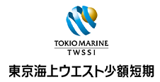 東京海上ウエスト少額短期